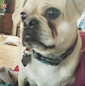 Meet your Posher, Kathy